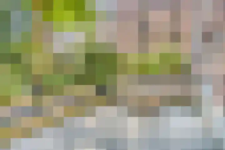 Sint Janssingel 208 's-Hertogenbosch thumbnail 14