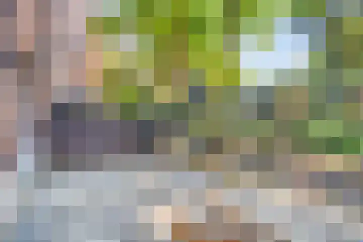 Sint Janssingel 208 's-Hertogenbosch thumbnail 15