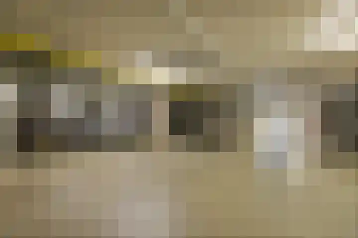 Sint Janssingel 208 's-Hertogenbosch thumbnail 30