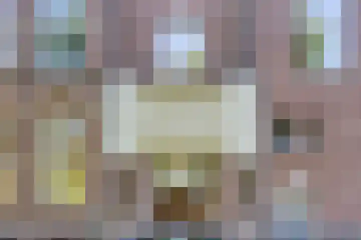 Sint Janssingel 208 's-Hertogenbosch thumbnail 31