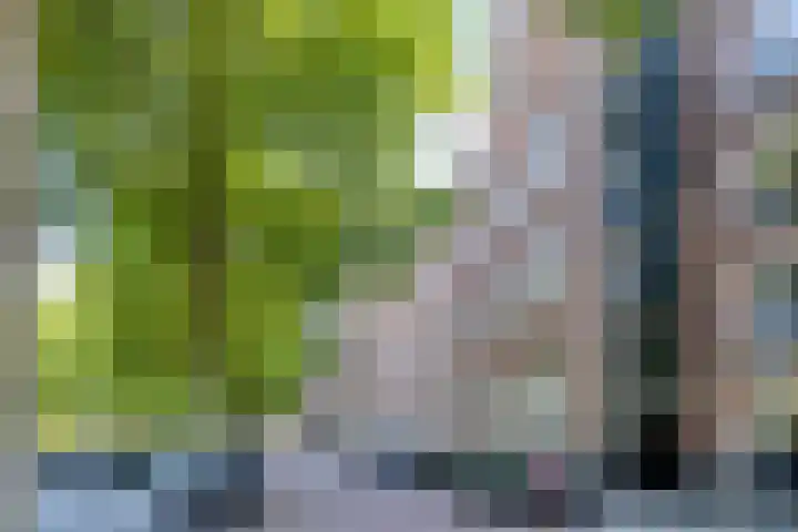 Sint Janssingel 208 's-Hertogenbosch thumbnail 32