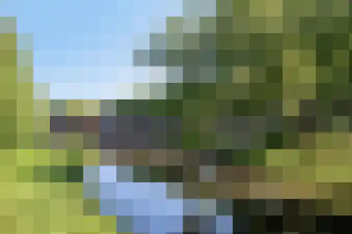 Sint Janssingel 208 's-Hertogenbosch thumbnail 33
