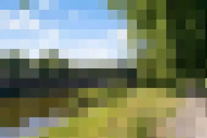 Sint Janssingel 208 's-Hertogenbosch thumbnail 35
