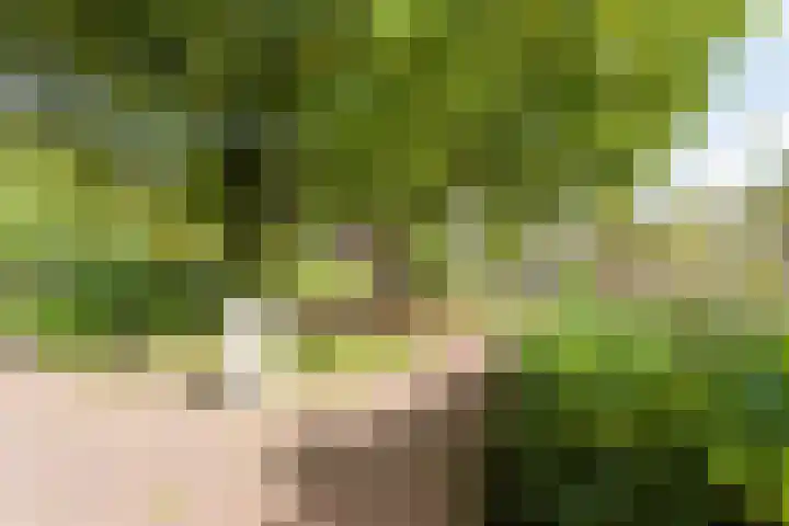Sint Janssingel 208 's-Hertogenbosch thumbnail 37