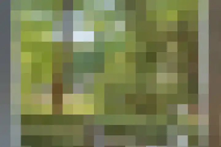 Sint Janssingel 208 's-Hertogenbosch thumbnail 9