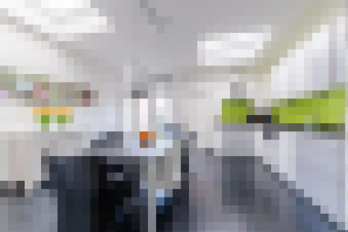 Sint Jansstraat 11 Goirle thumbnail 12