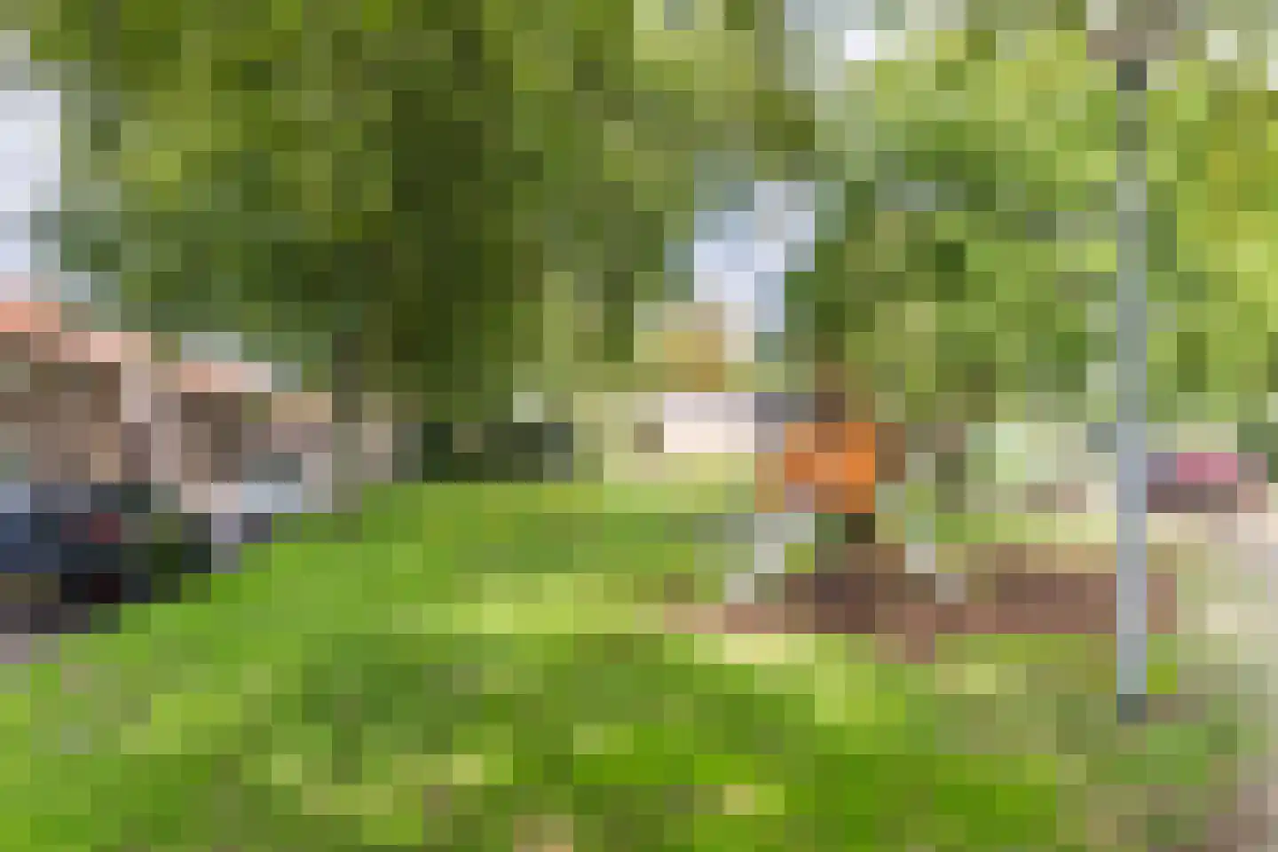 Sint Jansstraat 11 Goirle thumbnail 39