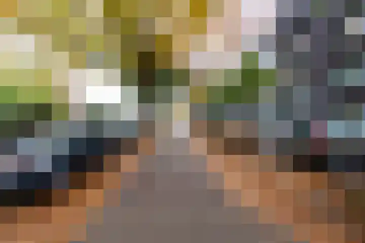 Sint Jansstraat 4 01 Goirle thumbnail 10