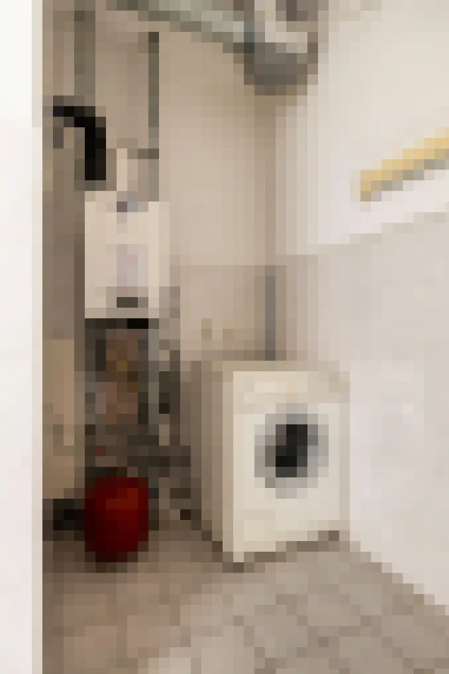 Sint Jansstraat 6 02 Goirle thumbnail 23