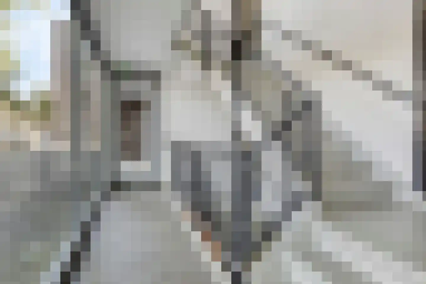 Sint Jansstraat 6 02 Goirle thumbnail 7