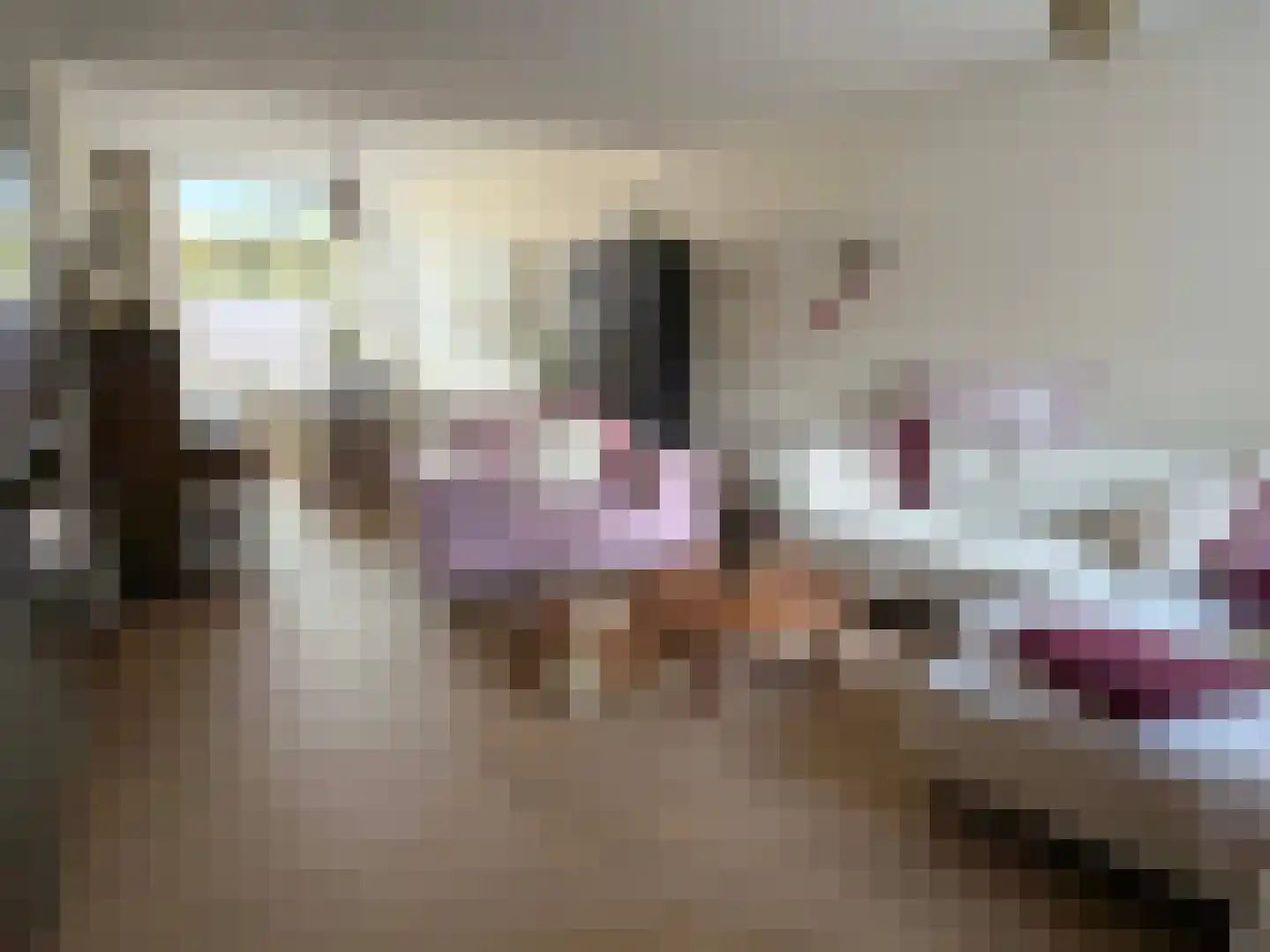 Sint Jansstraat 8 Coevorden thumbnail 4