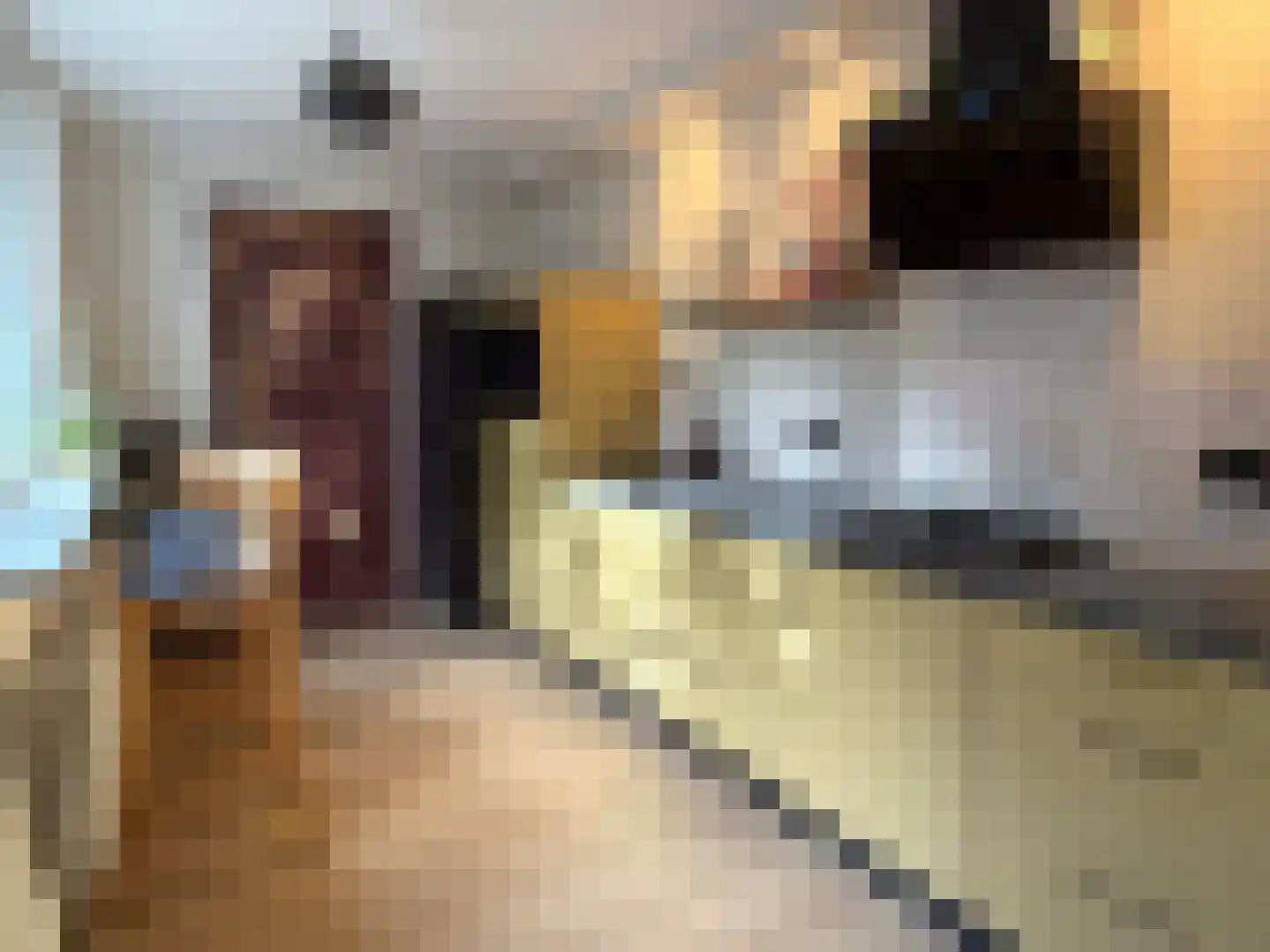 Sint Jansstraat 8 Coevorden thumbnail 6
