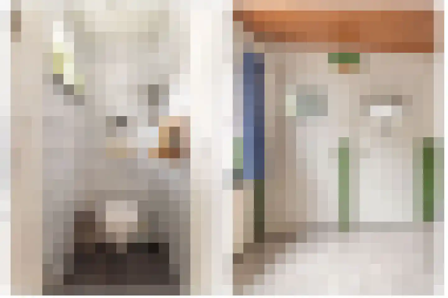 Sint Janstraat 1 Sprundel thumbnail 14