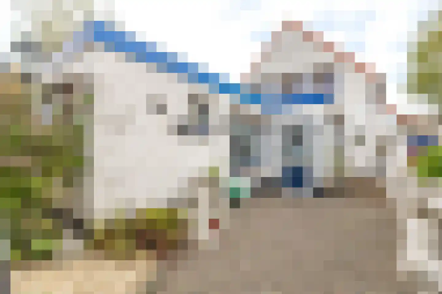 Sint Janstraat 1 Sprundel thumbnail 26
