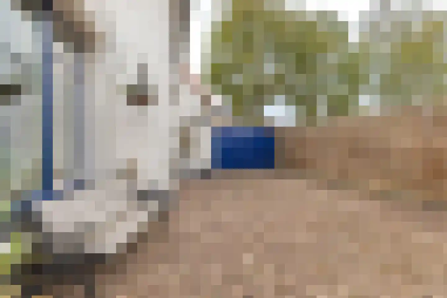 Sint Janstraat 1 Sprundel thumbnail 32