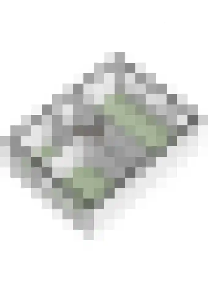 Sint Janstraat 1 Sprundel thumbnail 40