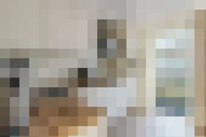 Sint Janstraat 11 Sprundel thumbnail 17