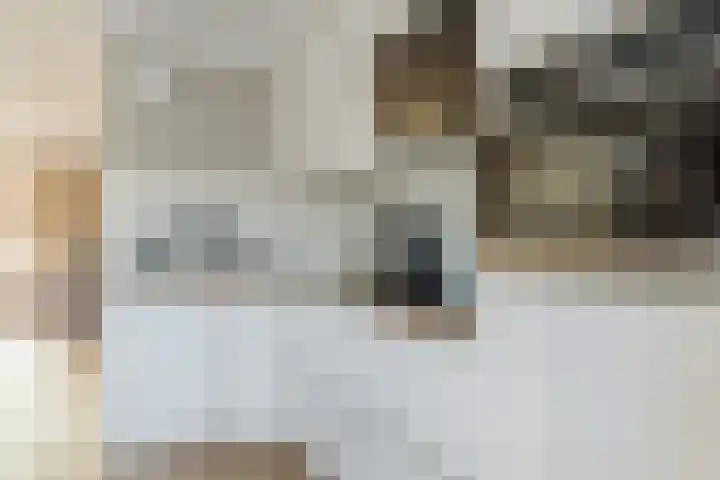 Sint Janstraat 11 Sprundel thumbnail 18