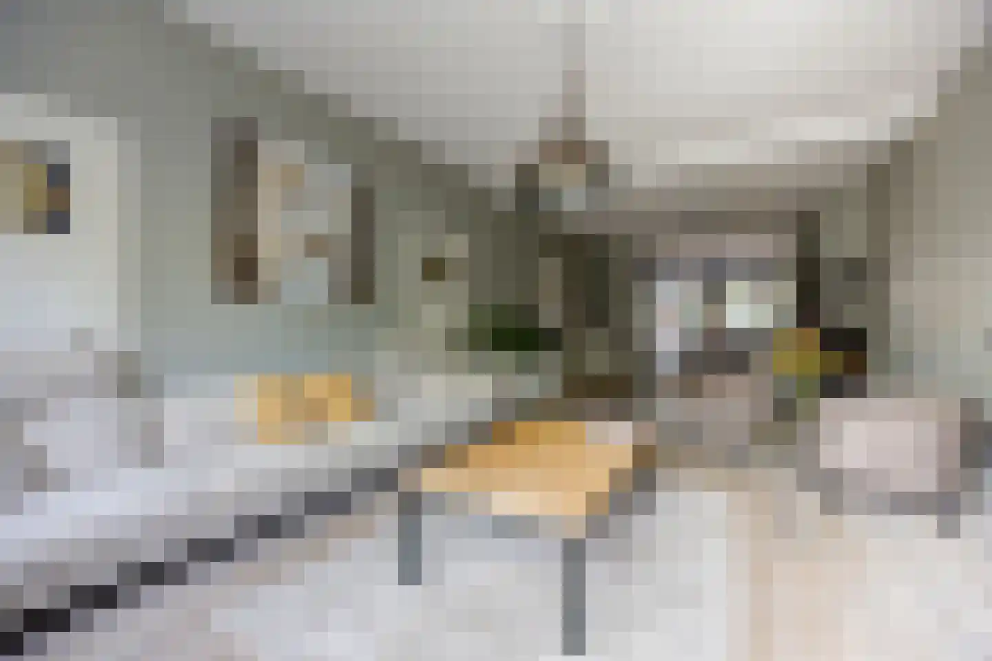 Sint Janstraat 125 Sprundel thumbnail 15
