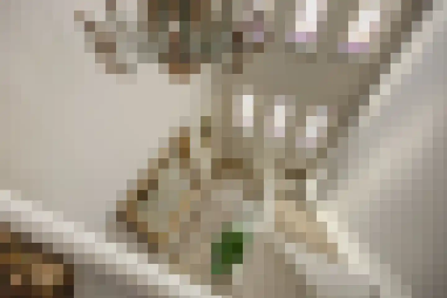 Sint Janstraat 125 Sprundel thumbnail 33