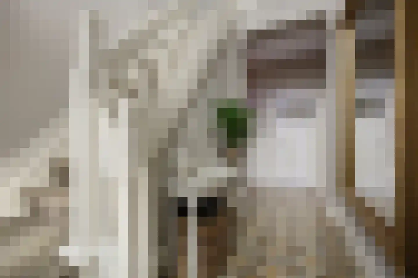 Sint Janstraat 125 Sprundel thumbnail 7