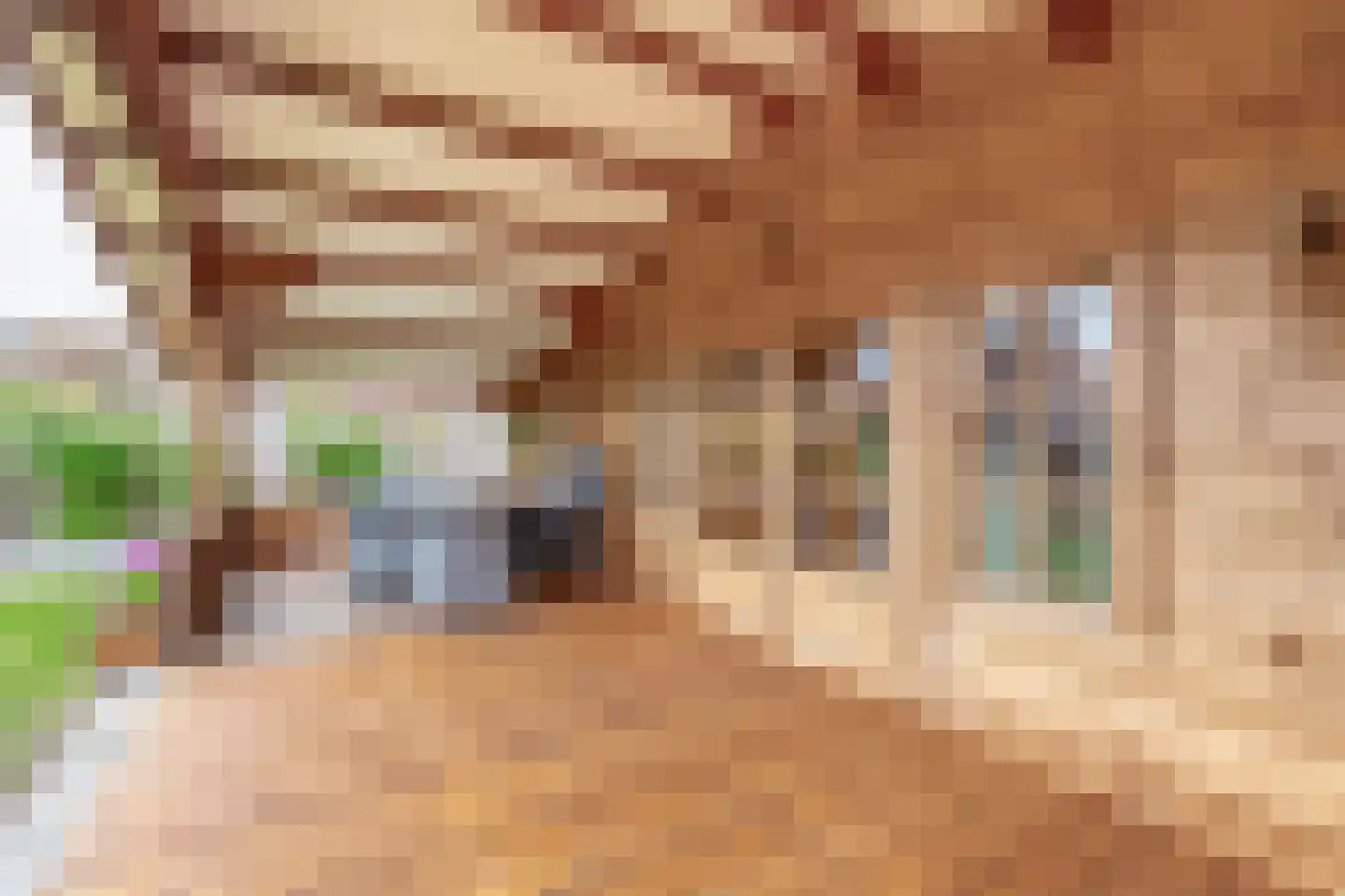 Sint Janstraat 18 Duizel thumbnail 35