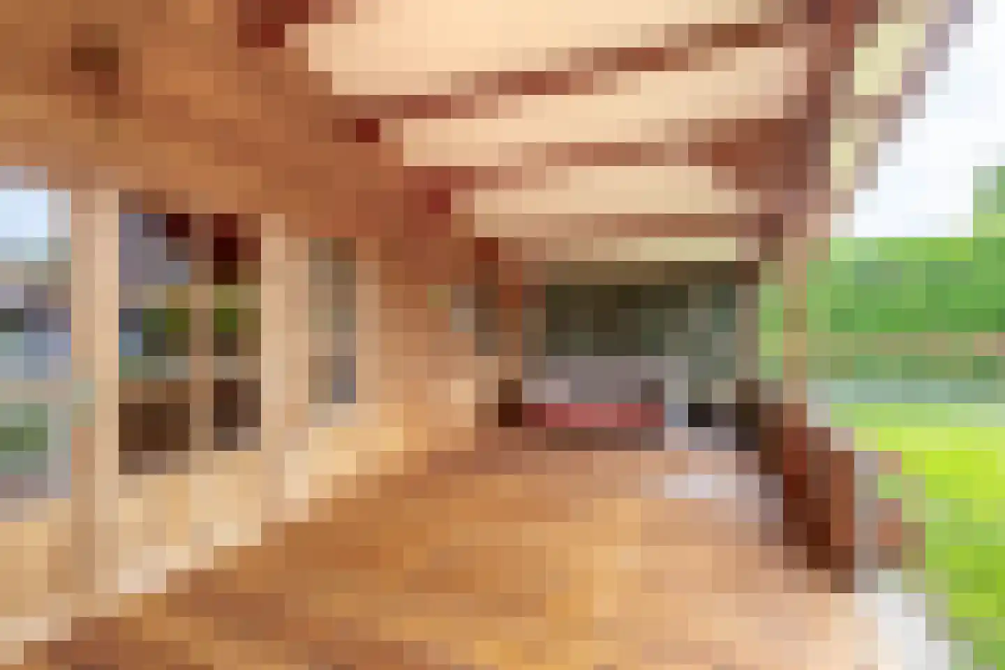 Sint Janstraat 18 Duizel thumbnail 36