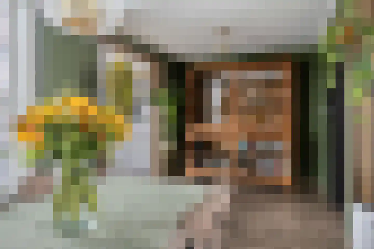Sint Janstraat 22 Sas van Gent thumbnail 12