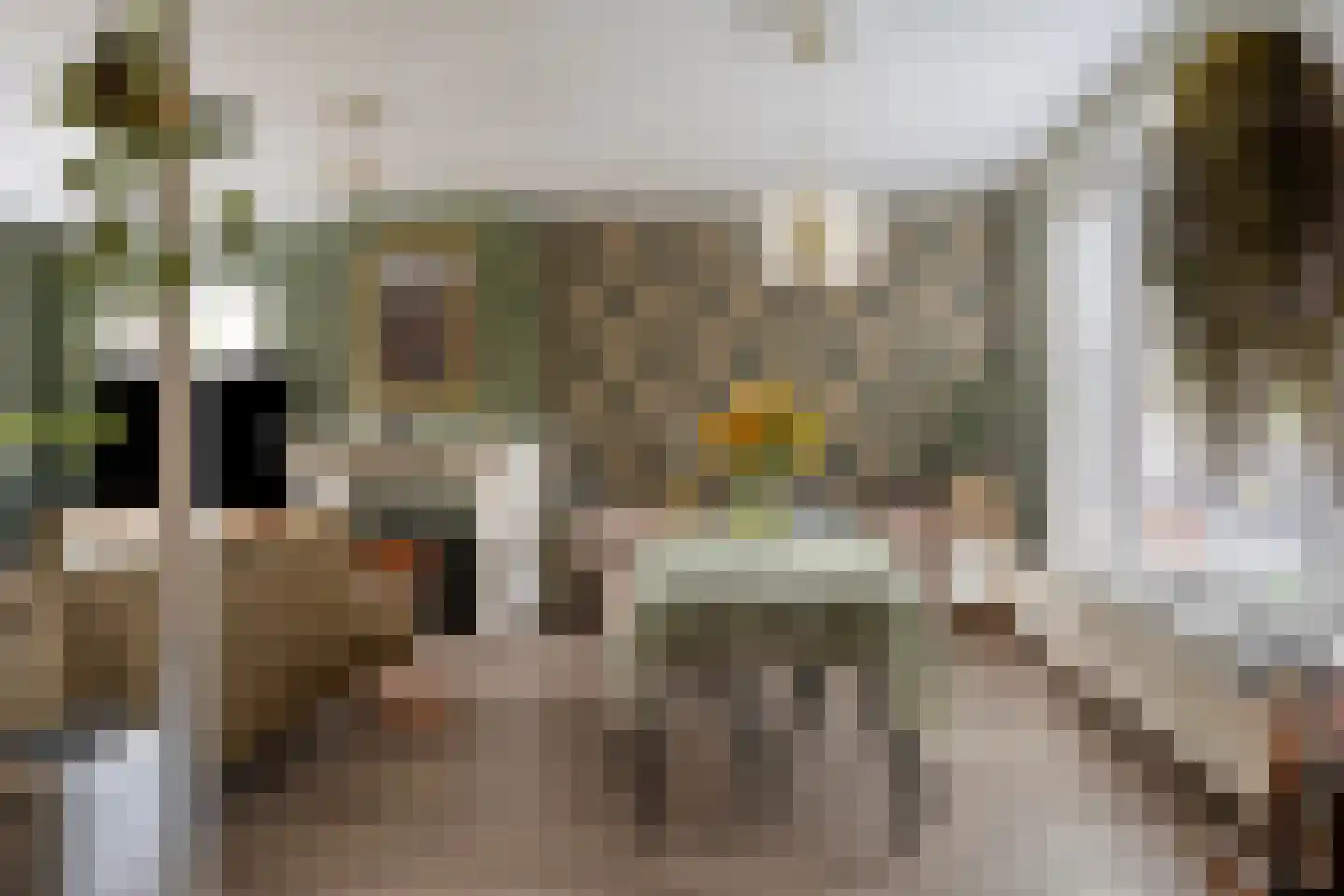 Sint Janstraat 22 Sas van Gent thumbnail 8