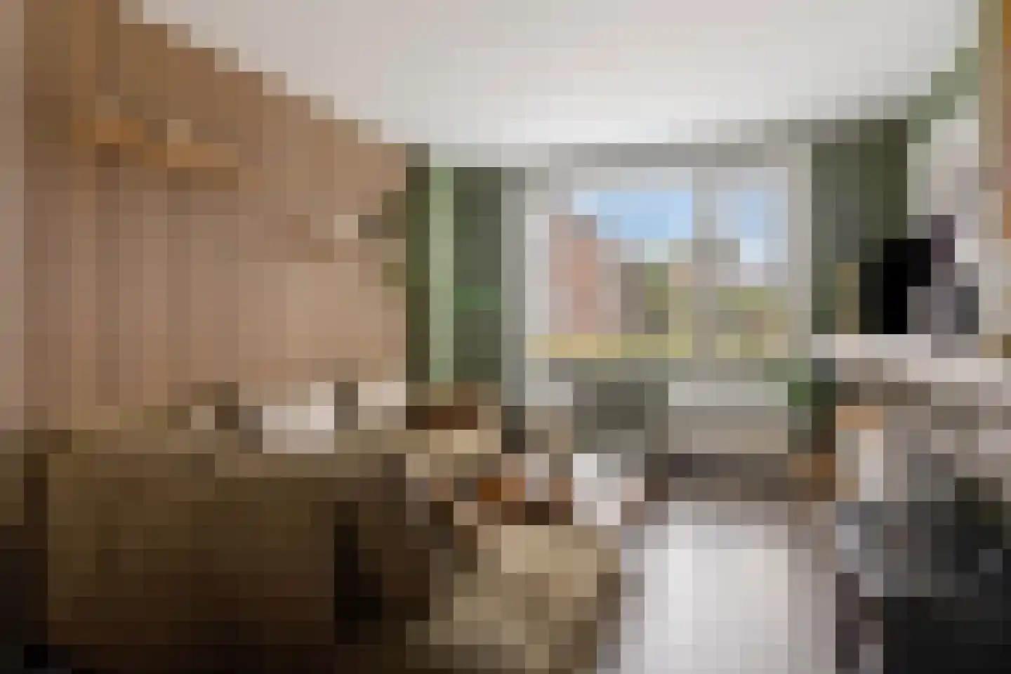 Sint Janstraat 22 Sas van Gent thumbnail 9