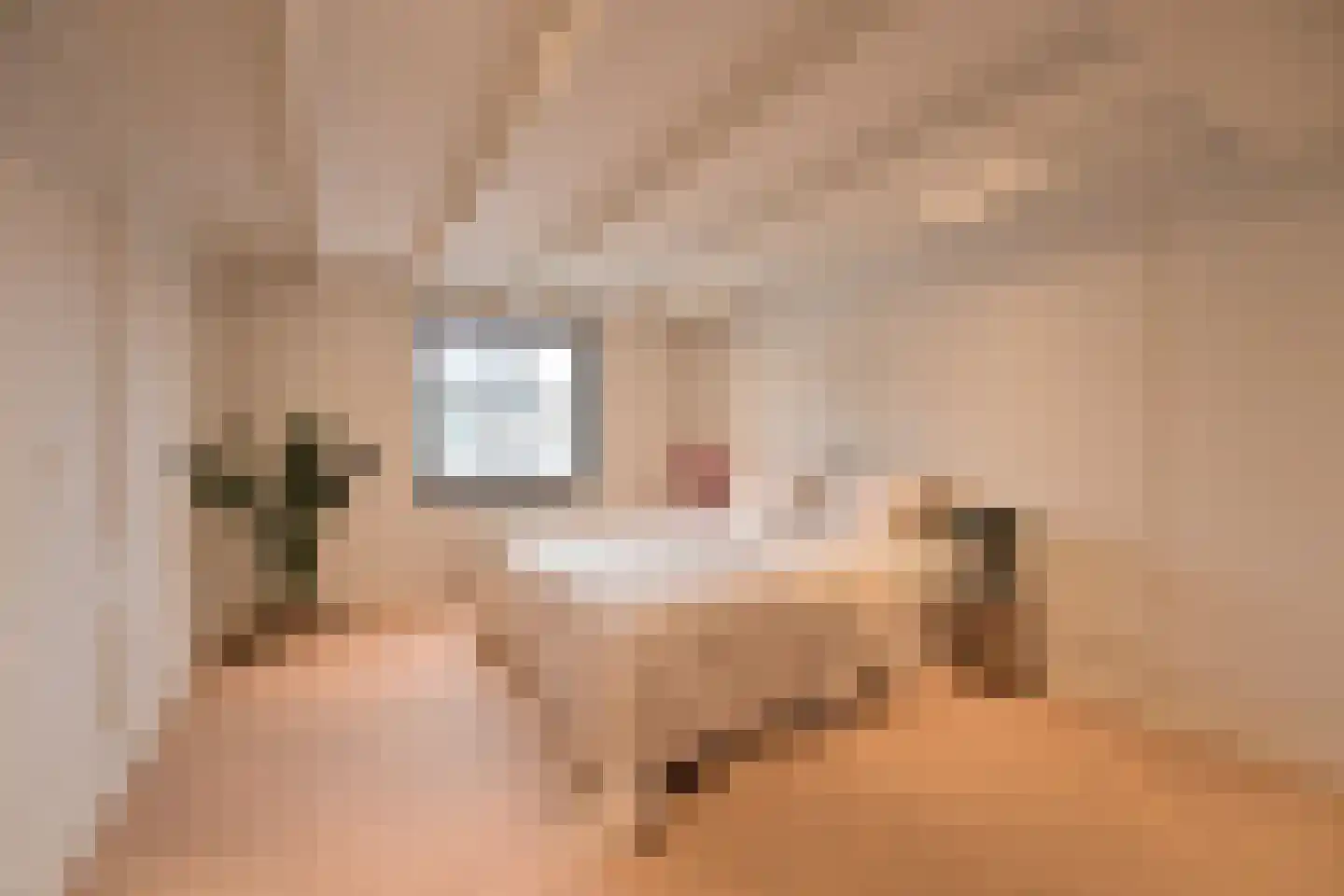 Sint Janstraat 24 b Laren thumbnail 10