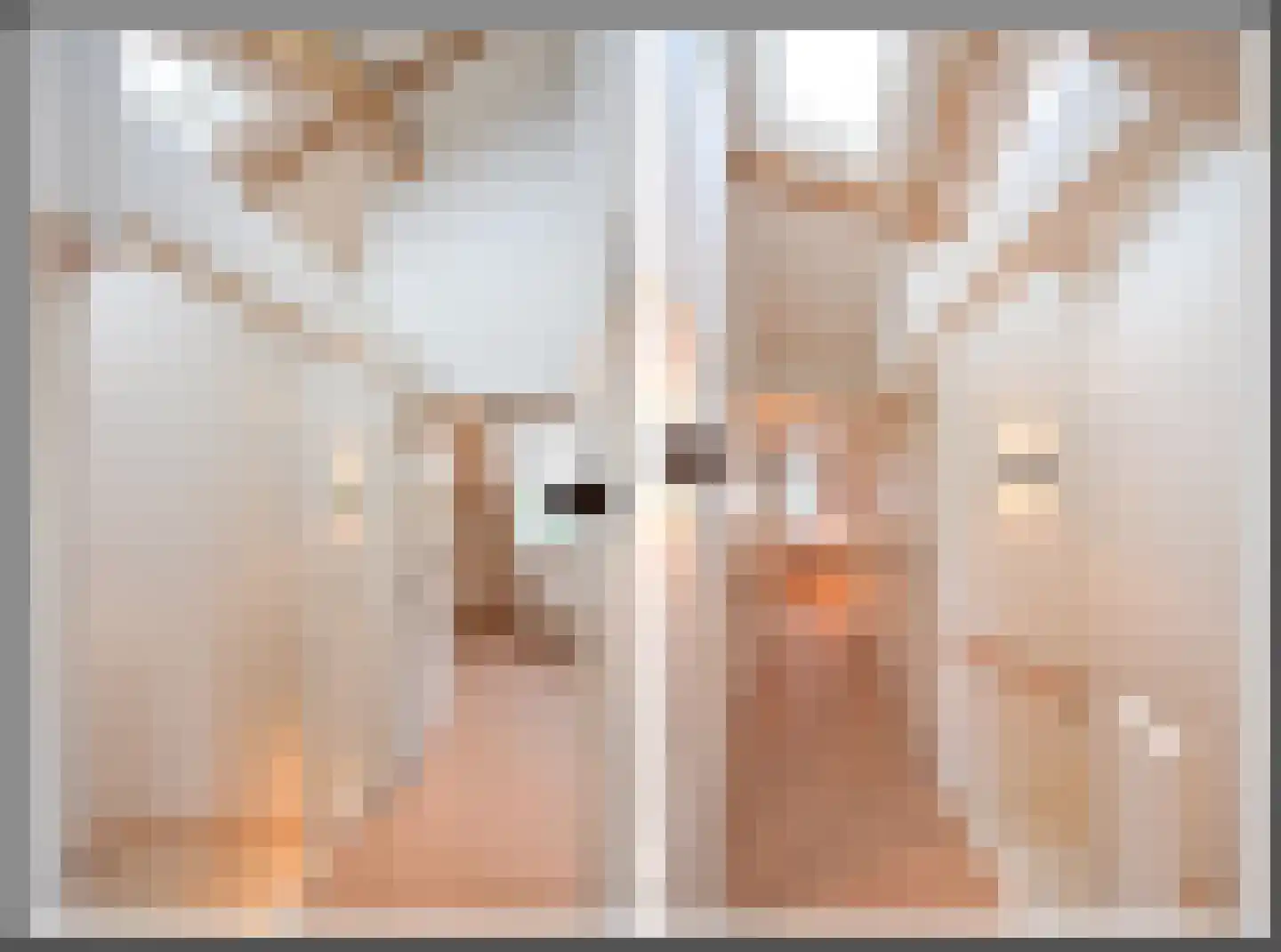 Sint Janstraat 24 b Laren thumbnail 14