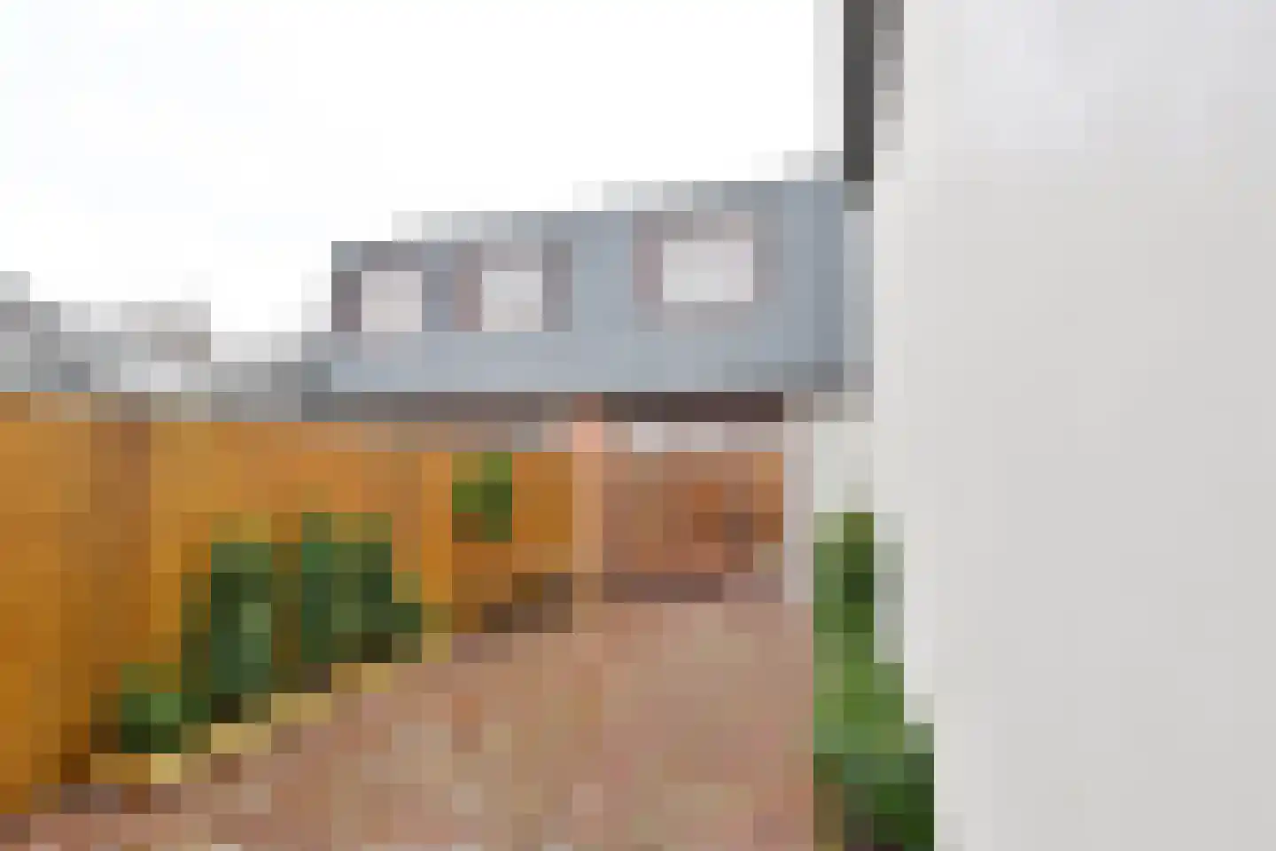Sint Janstraat 24 b Laren thumbnail 15