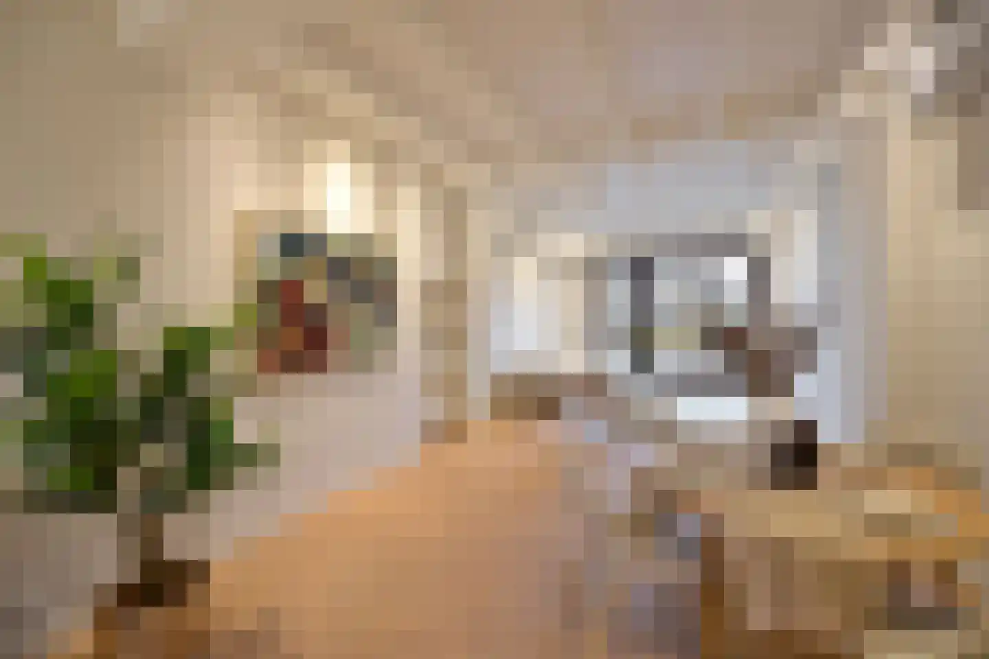 Sint Janstraat 24 b Laren thumbnail 4