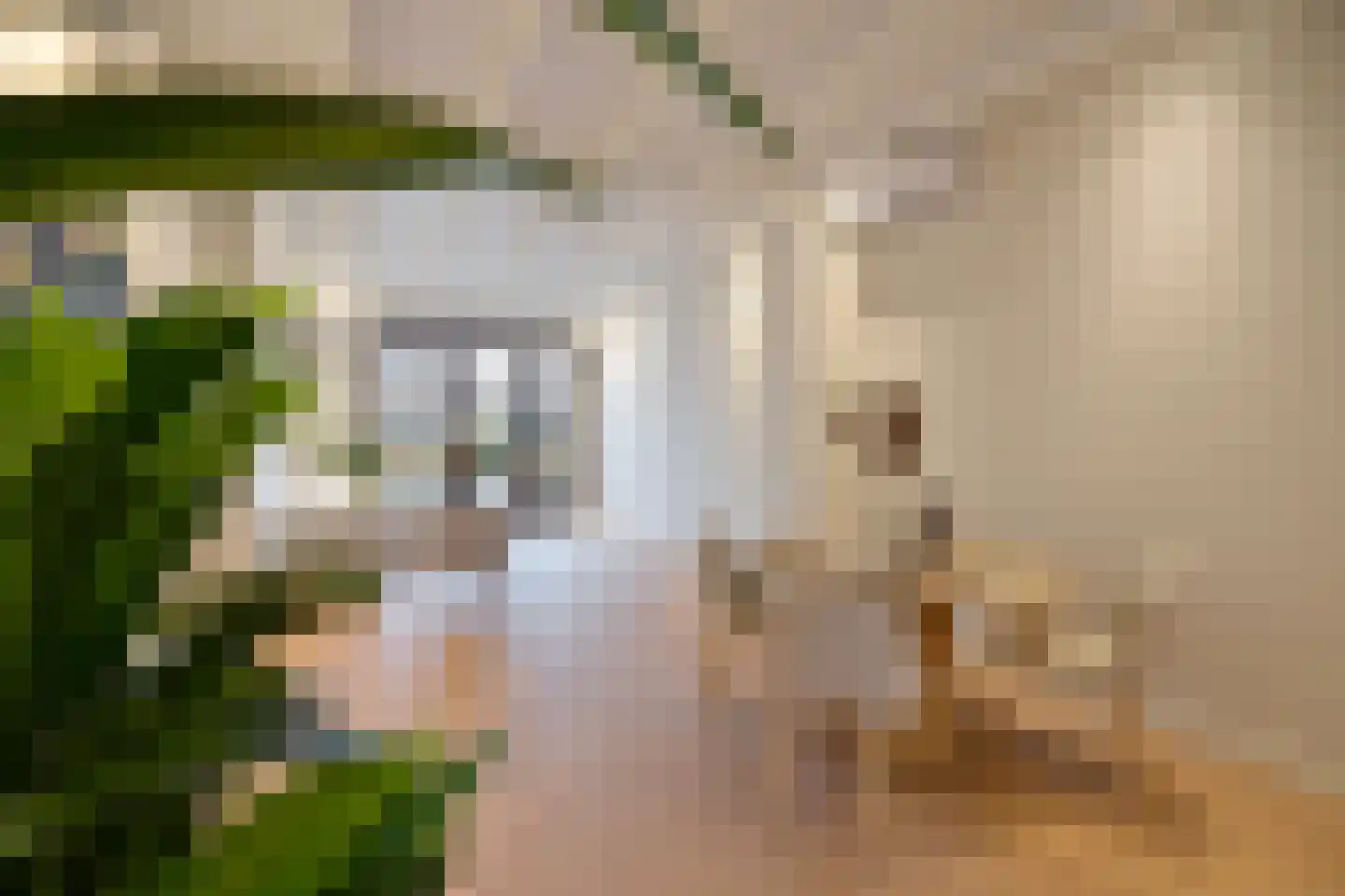 Sint Janstraat 24 b Laren thumbnail 7