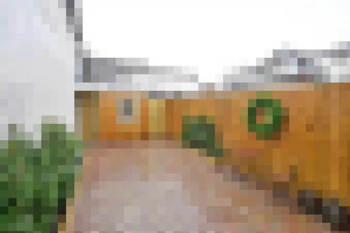 Sint Janstraat 24 b Laren thumbnail 9