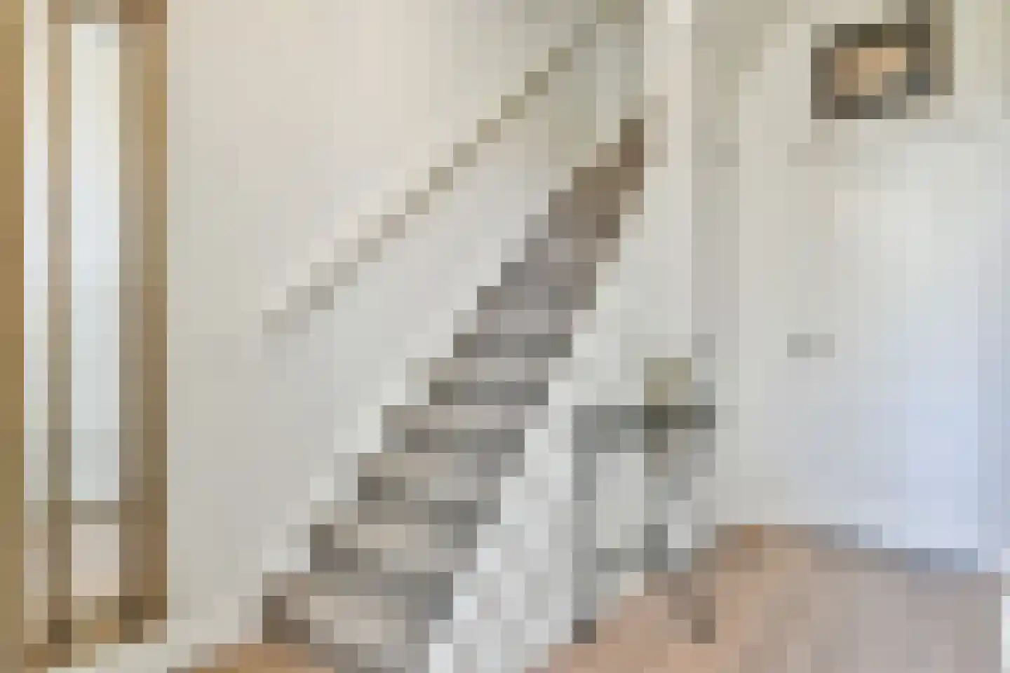 Sint Janstraat 24 Laren thumbnail 16