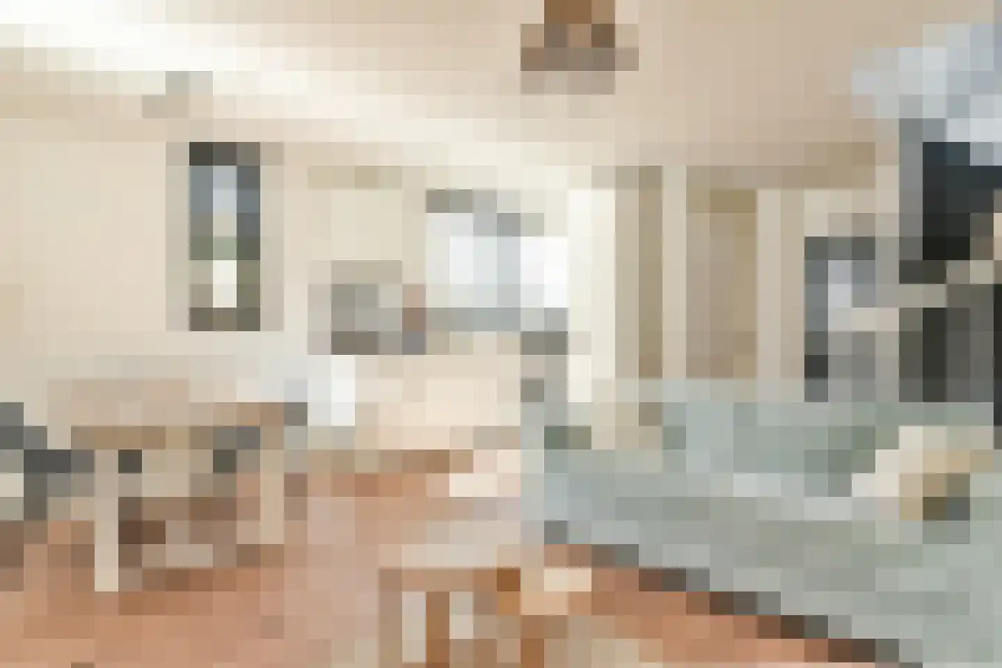 Sint Janstraat 24 Laren thumbnail 26