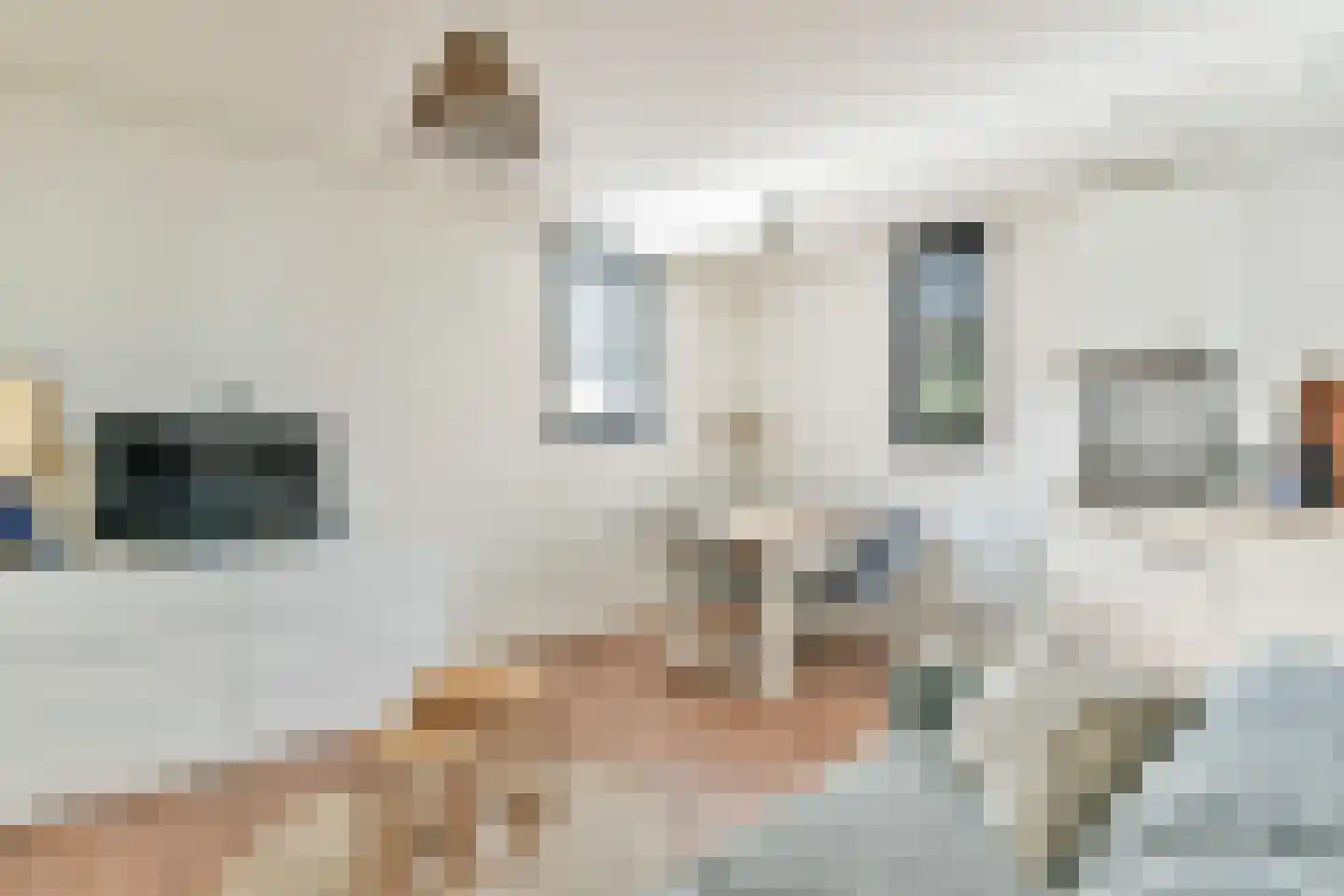 Sint Janstraat 24 Laren thumbnail 27