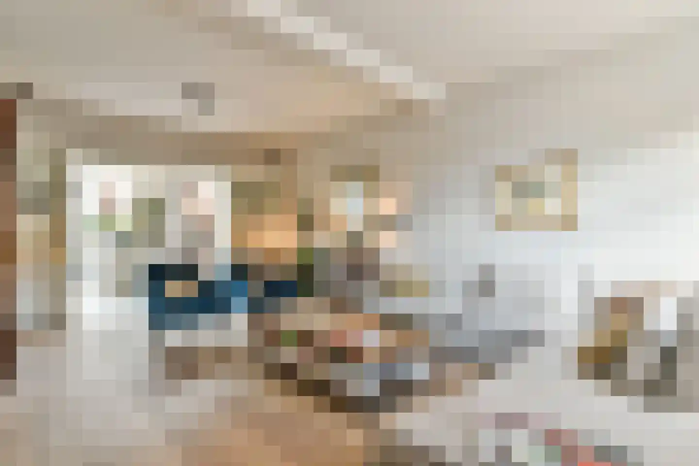 Sint Janstraat 24 Laren thumbnail 5