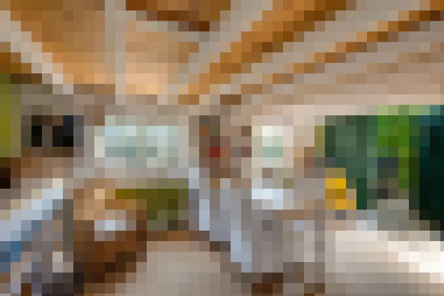 Sint Janstraat 24 Sprundel thumbnail 44