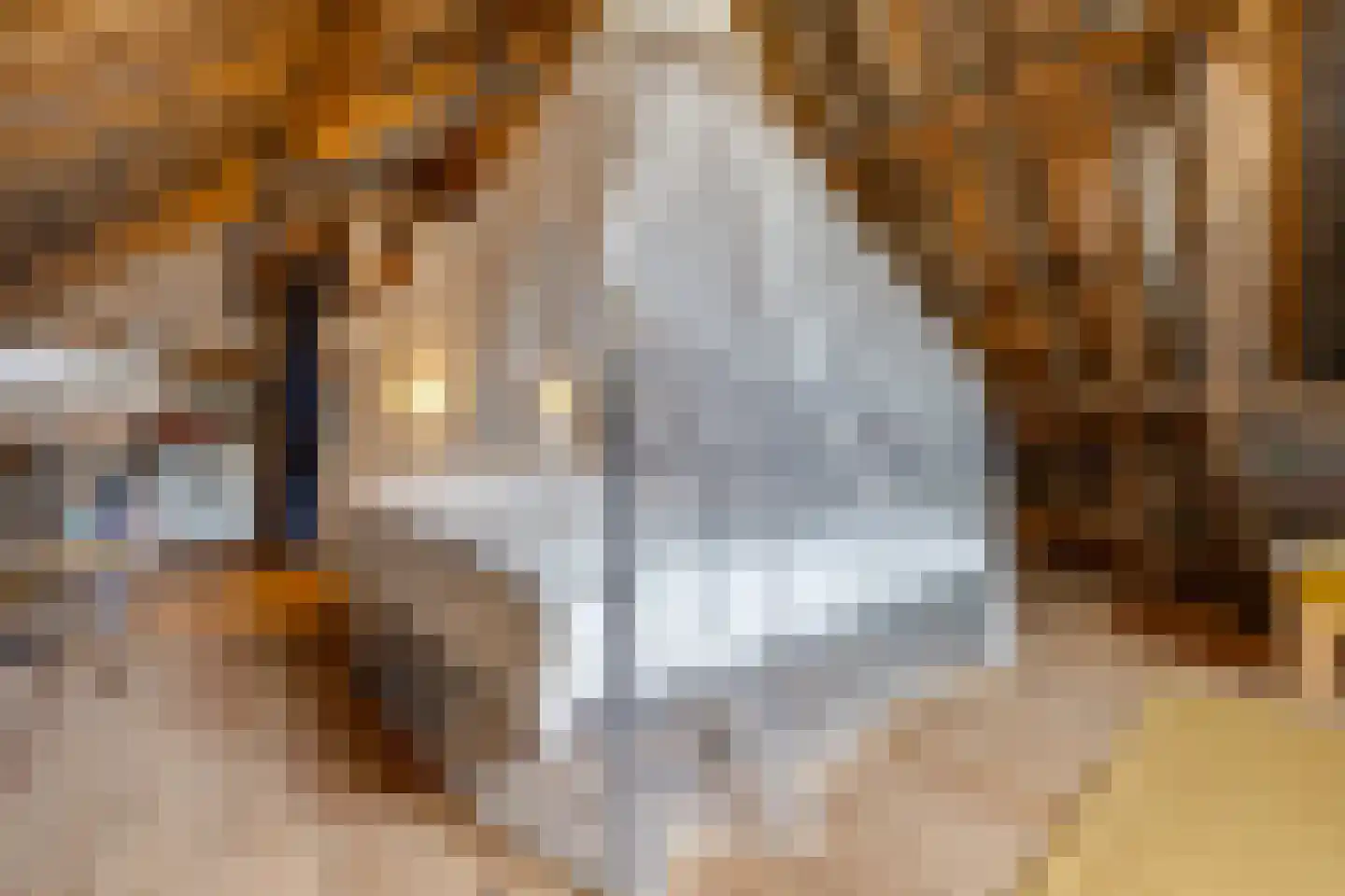 Sint Janstraat 24 Sprundel thumbnail 48