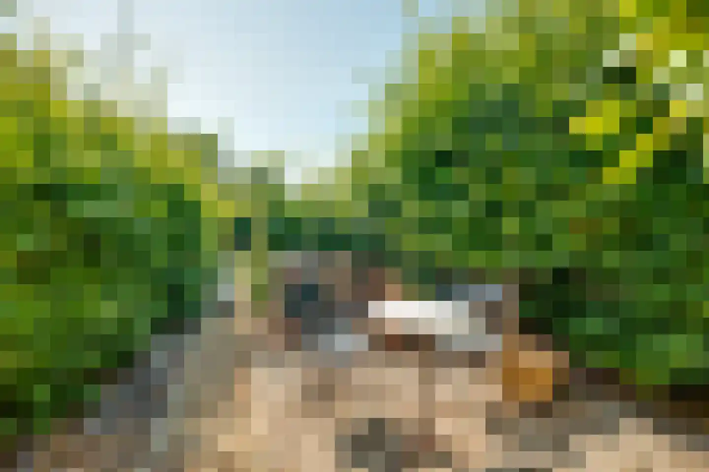 Sint Janstraat 24 Sprundel thumbnail 5