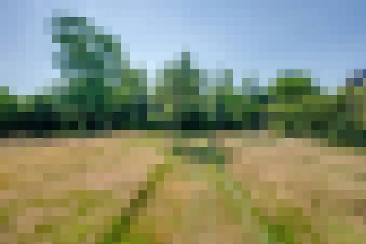 Sint Janstraat 24 Sprundel thumbnail 51