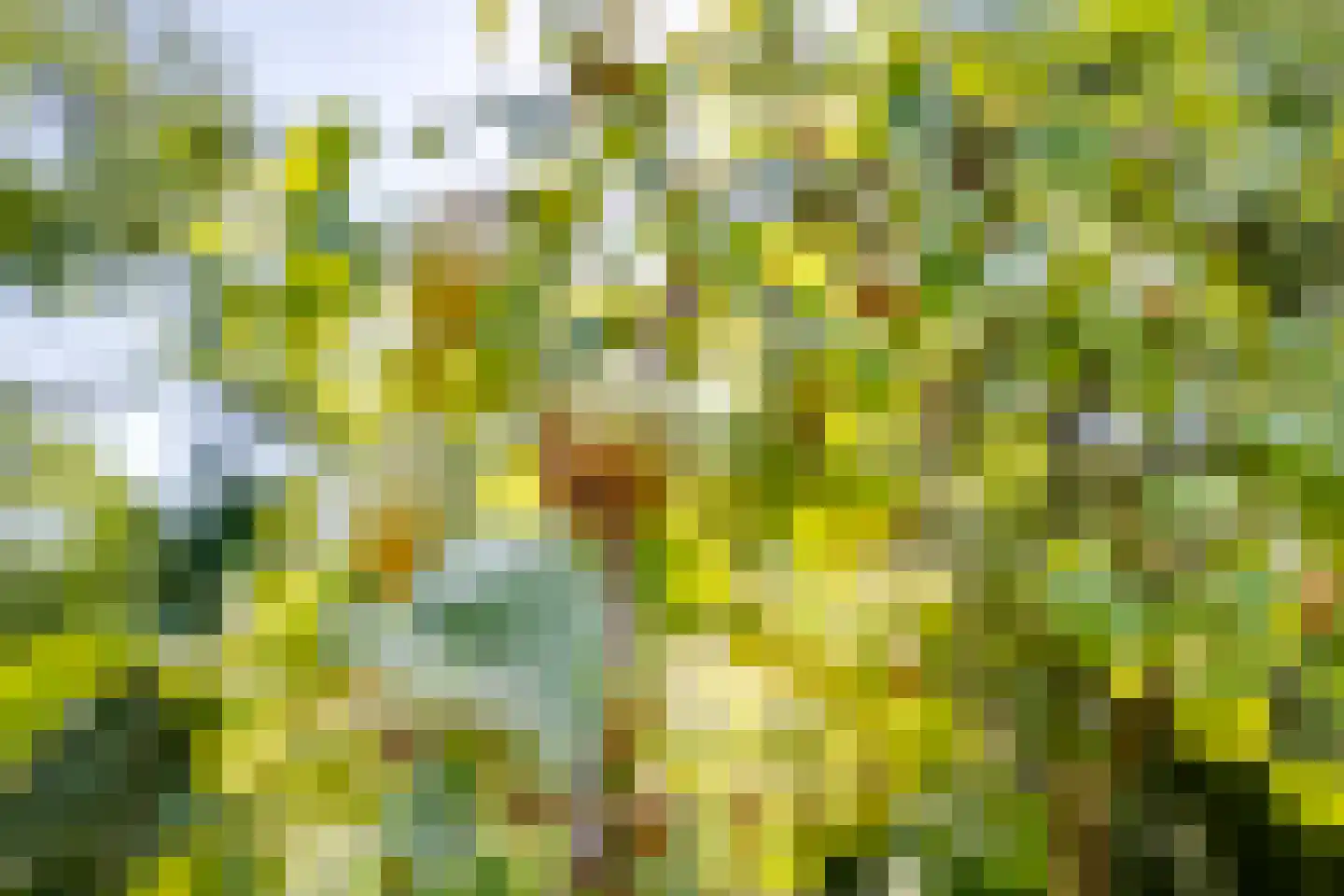 Sint Janstraat 24 Sprundel thumbnail 53