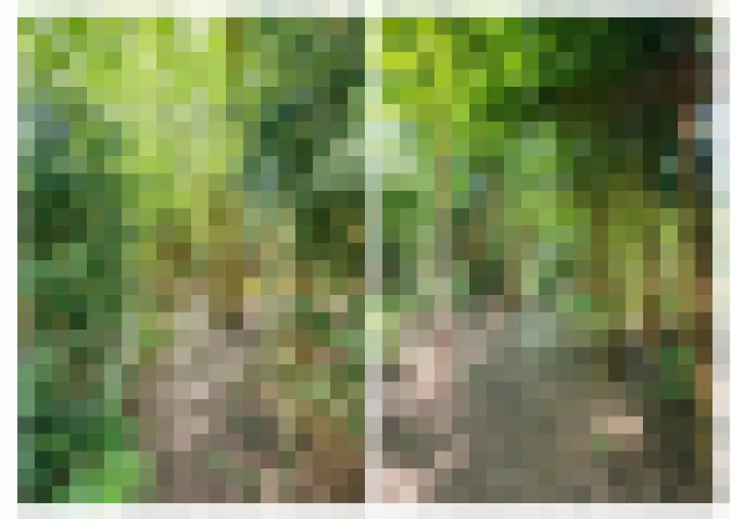 Sint Janstraat 24 Sprundel thumbnail 54