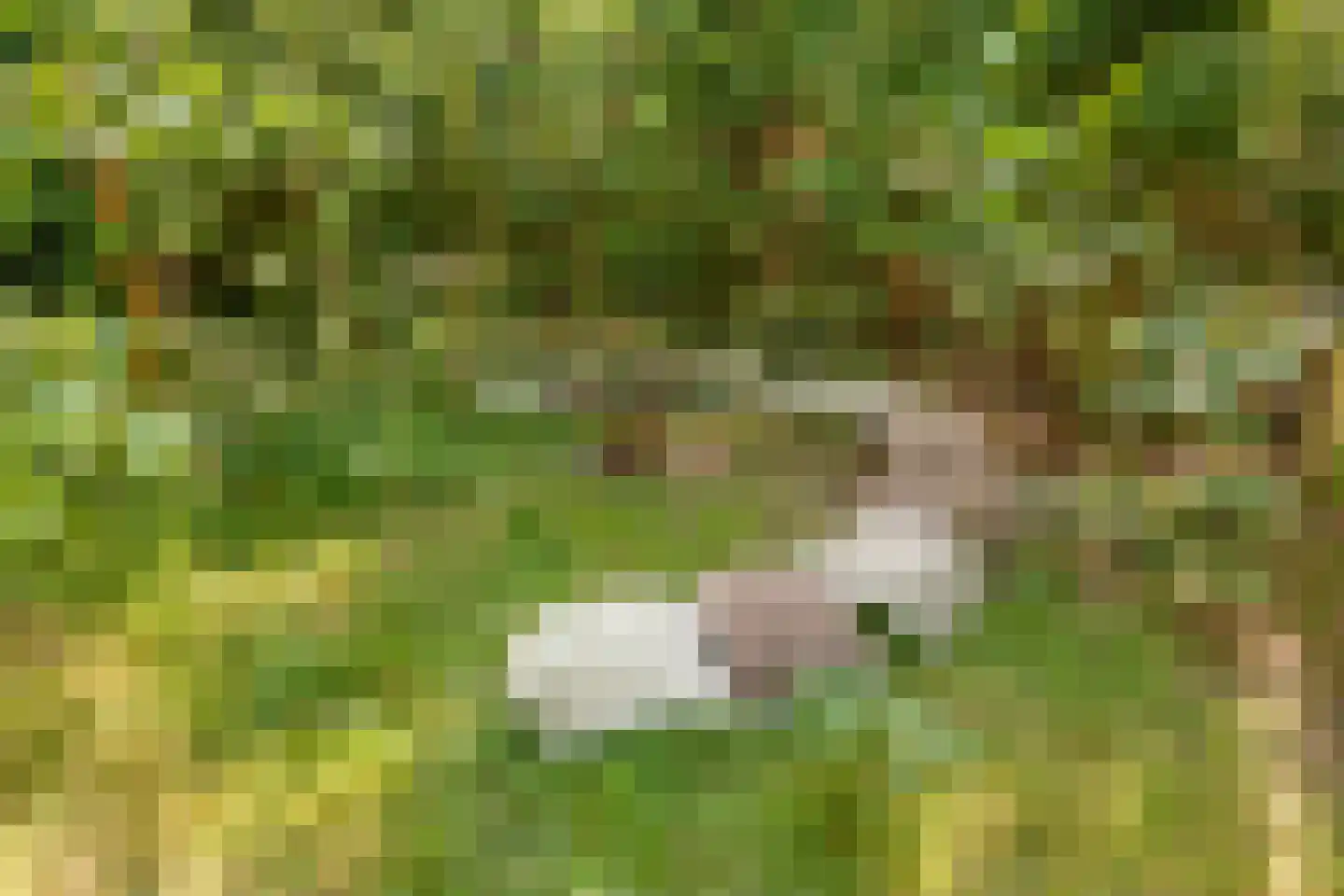 Sint Janstraat 24 Sprundel thumbnail 6