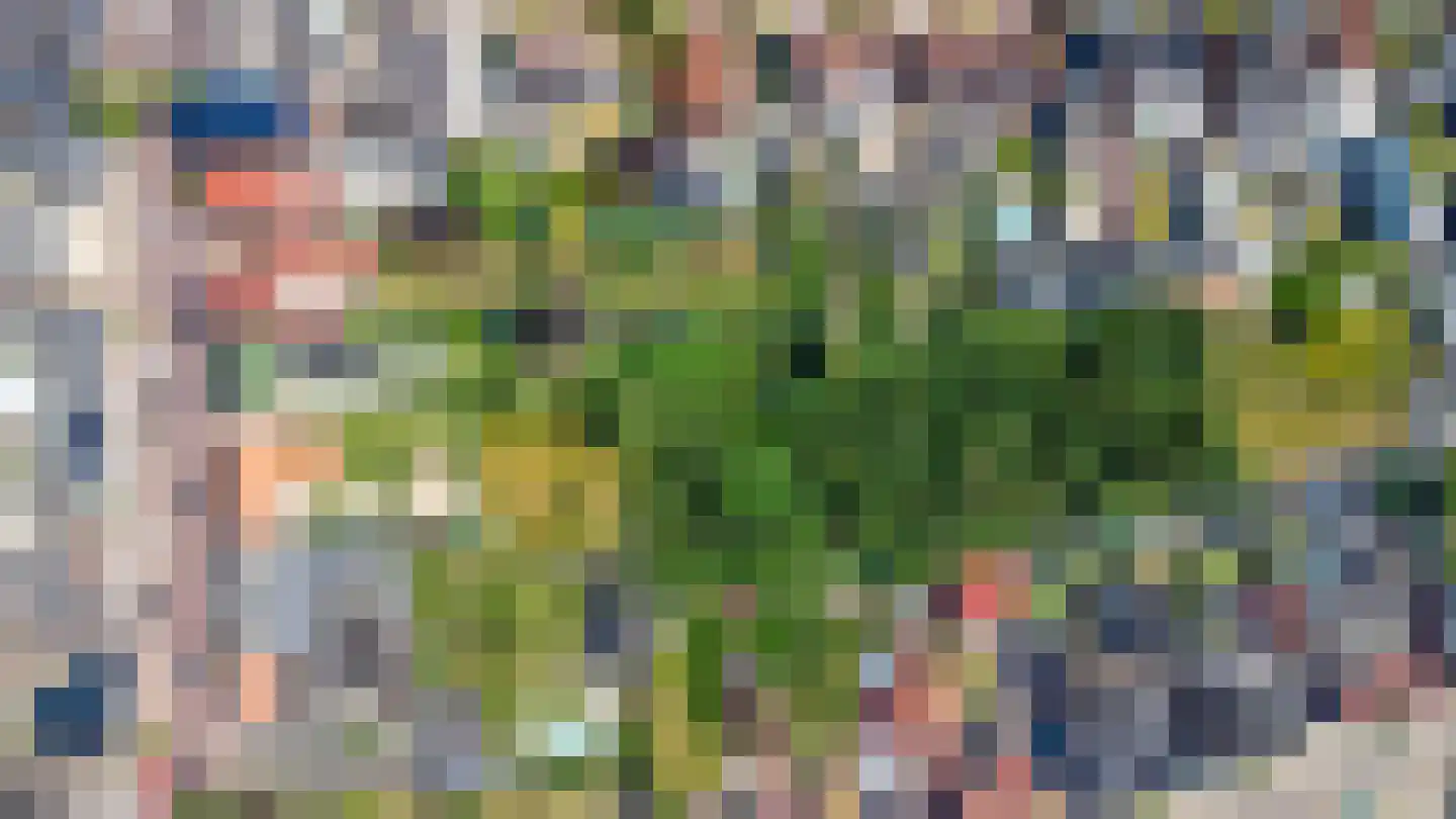 Sint Janstraat 24 Sprundel thumbnail 61