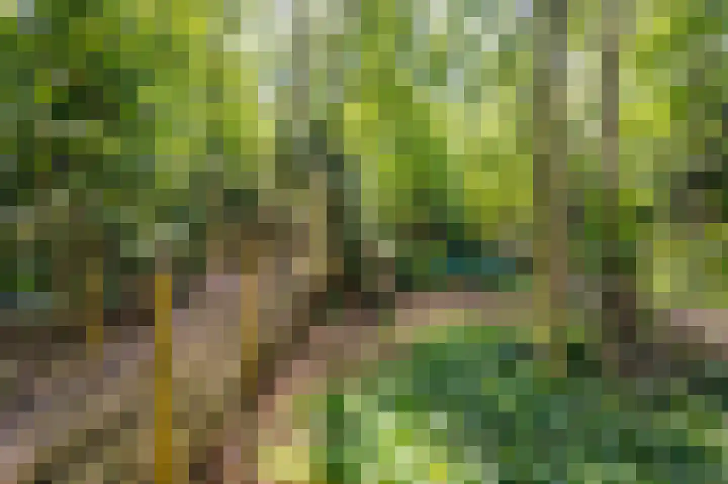 Sint Janstraat 24 Sprundel thumbnail 7