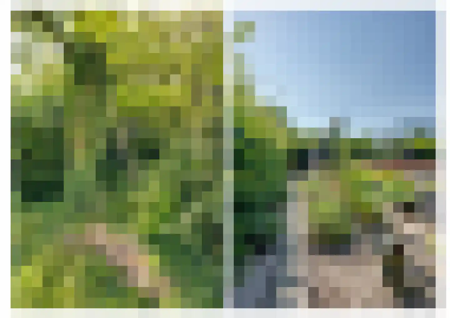 Sint Janstraat 24 Sprundel thumbnail 8